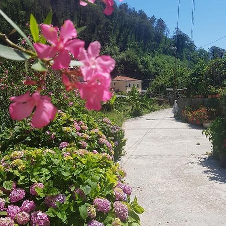 Villa Casa Nonna Anna à Maiori Extérieur photo