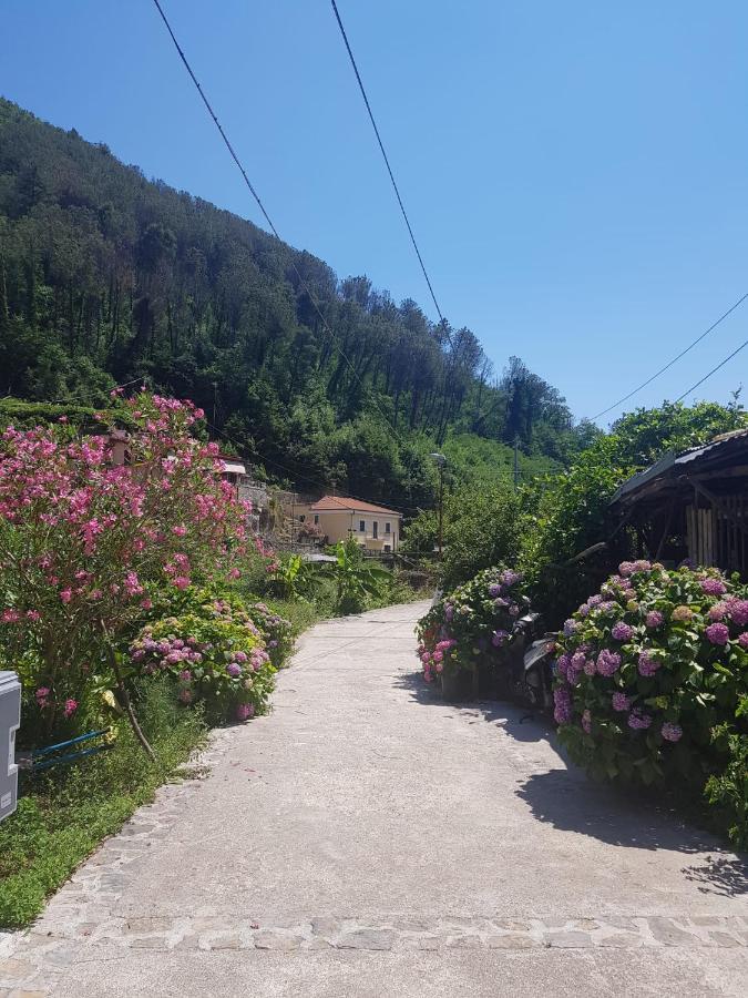 Villa Casa Nonna Anna à Maiori Extérieur photo
