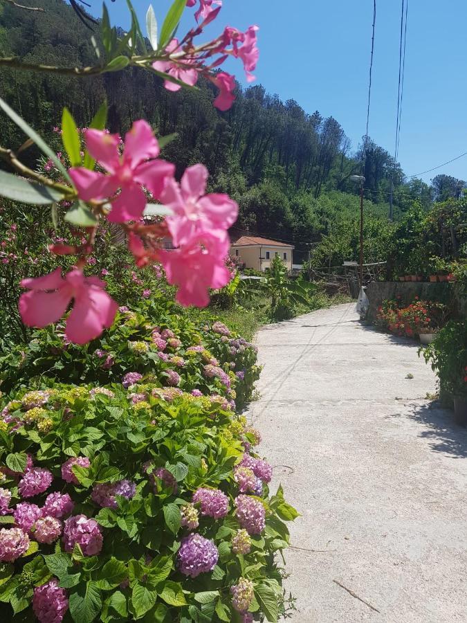Villa Casa Nonna Anna à Maiori Extérieur photo