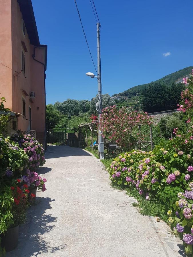 Villa Casa Nonna Anna à Maiori Extérieur photo