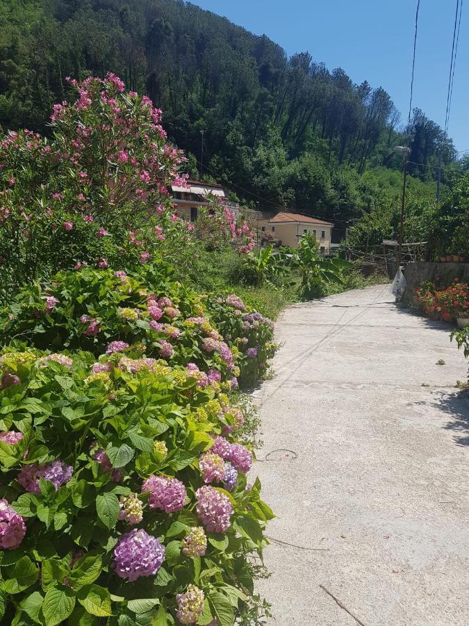 Villa Casa Nonna Anna à Maiori Extérieur photo